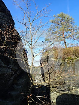 amazing views on a bastei bridge in germany