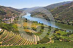 Amazing views of Douro vineyards and river from Messao Frio, Portugal