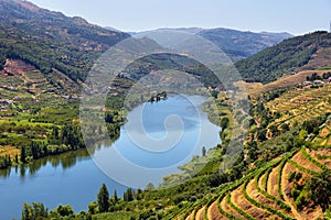 Amazing views of Douro vineyards and river from Messao Frio, Portugal