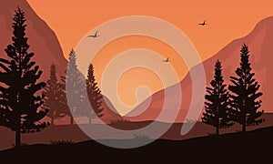 Amazing views silhouette trees and mountains at twilight. Vector illustration