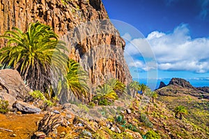 Amazing volcanic scenery with palm trees, Canary Islands, Spain