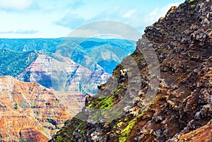 Amazing Waimea canyon in Kauai, Hawaii islands, USA. With selective focus