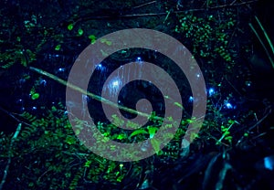 Amazing waitomo Glow worm in Caves, located in New Zealand