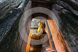 Amazing Wat Bang Kung, Thailand