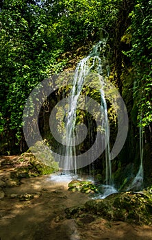 Amazing waterfall darts from the forest to form a pool