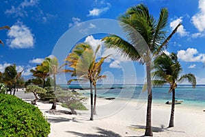 Amazing White Beach, Tropical Vacation, Mauritius Island
