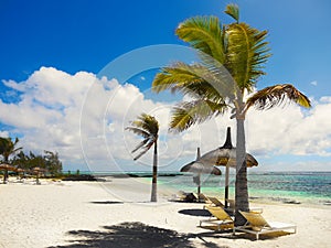 Amazing White Beaches, Tropical Vacation, Mauritius Island