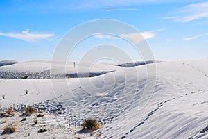 Amazing White Sands Desert in New Mexico, USA