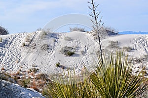 Amazing White Sands Desert in New Mexico, USA