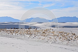 Amazing White Sands Desert in New Mexico, USA