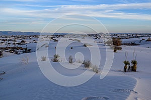 Amazing White Sands Desert in New Mexico, USA