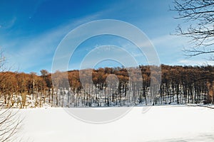 Amazing winter landscape. Clean blue sky in winter mountains. Winter snowy field. Travelling in wintertime