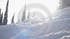 Amazing winter landscape with high spruces and drifts, snow, lens flare effects during snowfall in mountains. slow