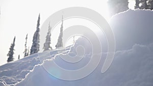 Amazing winter landscape with high spruces and drifts, snow, lens flare effects during snowfall in mountains. slow