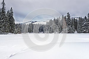 Amazing winter landscape with snow, fir forest, mountains and sky. Outdoor travel background
