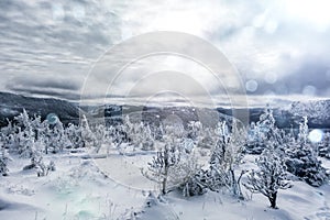 Winter Landscape from Top of Mountain in Canada, Quebec photo
