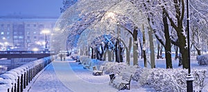 Amazing winter night landscape of snow covered bench among snowy trees and shining lights during the snowfall. Artistic picture.