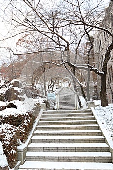 amazing winter season in kyung hee Park Seoul south korea