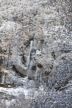 Amazing winter season at Yading Nature Reserve in Sichuan, China