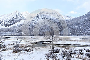 Amazing winter season at Yading Nature Reserve in Sichuan, China