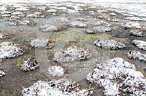 Amazing winter season at Yading Nature Reserve in Sichuan, China