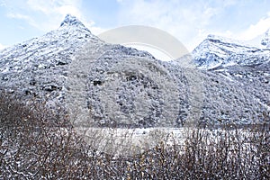 Amazing winter season at Yading Nature Reserve in Sichuan, China