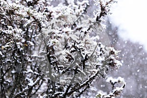 Amazing winter season at Yading Nature Reserve in Sichuan, China