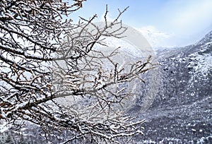 Amazing winter season at Yading Nature Reserve in Sichuan, China