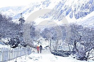 Amazing winter season at Yading Nature Reserve in Sichuan, China