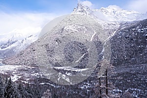 Amazing winter season at Yading Nature Reserve in Sichuan, China