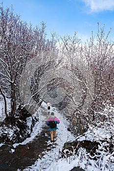 Amazing winter season at Yading Nature Reserve in Sichuan, China