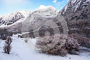 Amazing winter season at Yading Nature Reserve in Sichuan, China