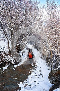 Amazing winter season at Yading Nature Reserve in Sichuan, China