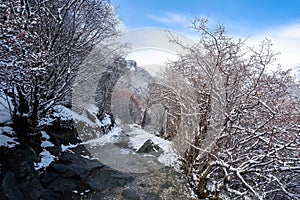 Amazing winter season at Yading Nature Reserve in Sichuan, China