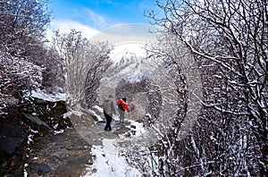 Amazing winter season at Yading Nature Reserve in Sichuan, China