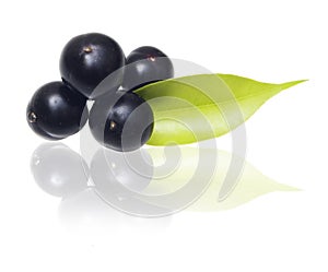 Amazon acai fruit img