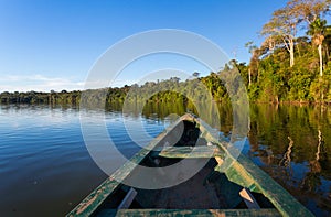 AMAZON FOREST FROM A BOAT