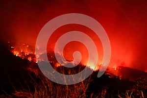 Amazon forest fire disater problem.Fire burns trees in the mountain at night photo