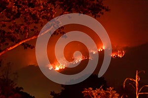 Amazon forest fire disater problem.Fire burns trees in the mountain at night photo