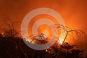 Amazon forest fire disater problem.Fire burns trees in the mountain at night photo