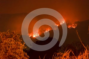 Amazon forest fire disater problem.Fire burns trees in the mountain at night