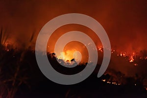Amazon forest fire disater problem.Fire burns trees in the mountain at night photo
