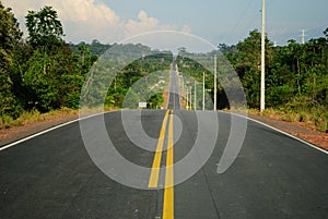 Amazon forest and road