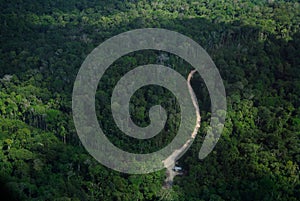 Amazon forest and road photo