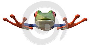 Amazon frog in a white background
