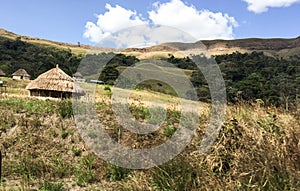 Amazon Indian houses