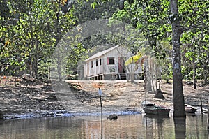 Amazon Jungle Habitation