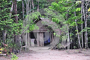 Amazon Jungle House (The Amazonia)