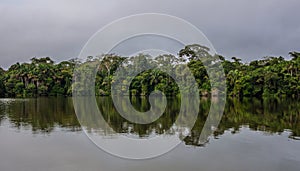Amazonas la jungla 
