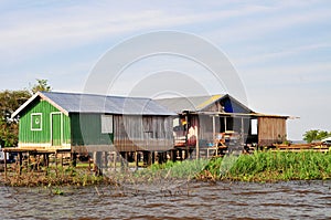 Amazon Jungle Typical Home